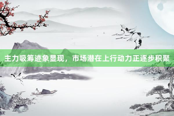 主力吸筹迹象显现，市场潜在上行动力正逐步积聚