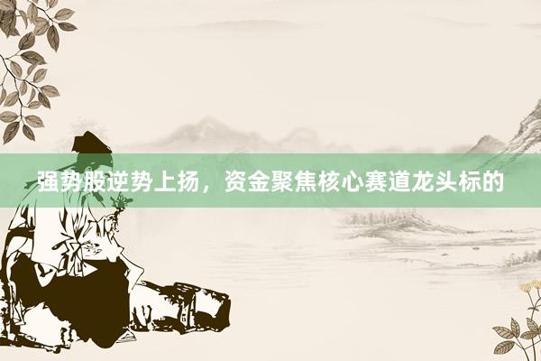 强势股逆势上扬，资金聚焦核心赛道龙头标的