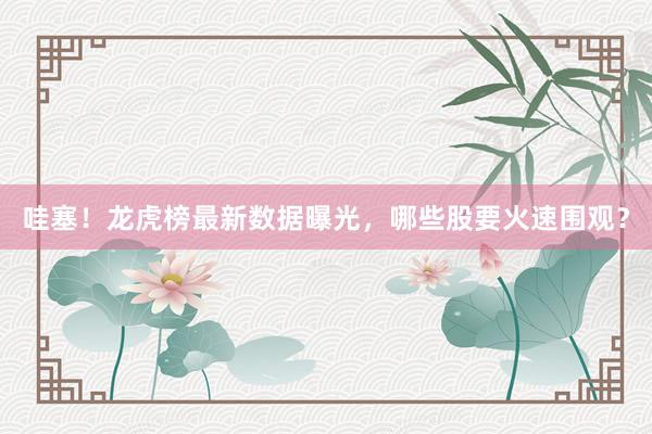 哇塞！龙虎榜最新数据曝光，哪些股要火速围观？
