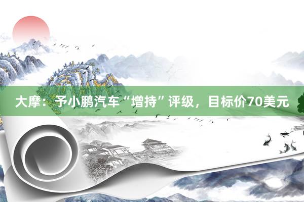 大摩：予小鹏汽车“增持”评级，目标价70美元
