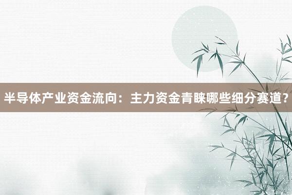 半导体产业资金流向：主力资金青睐哪些细分赛道？