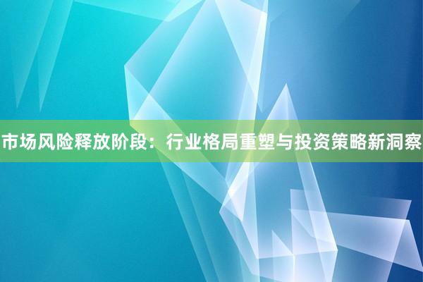 市场风险释放阶段：行业格局重塑与投资策略新洞察