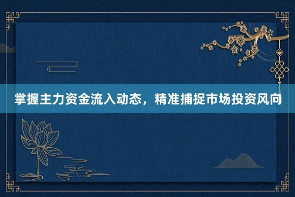 掌握主力资金流入动态，精准捕捉市场投资风向