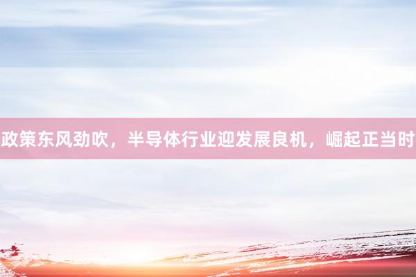 政策东风劲吹，半导体行业迎发展良机，崛起正当时
