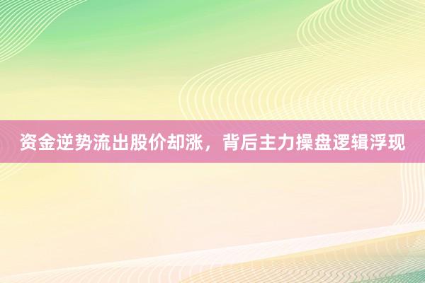 资金逆势流出股价却涨，背后主力操盘逻辑浮现