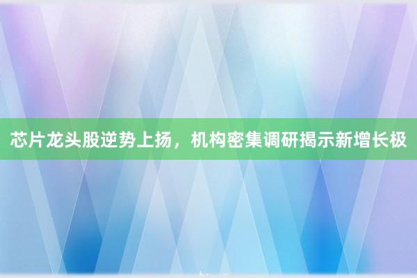 芯片龙头股逆势上扬，机构密集调研揭示新增长极